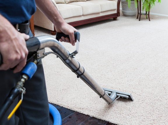 This is a photo of a cream rug which is being professionally steam cleaned.